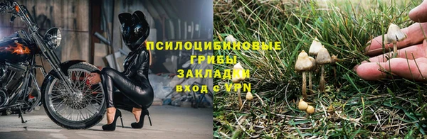 гашик Волосово
