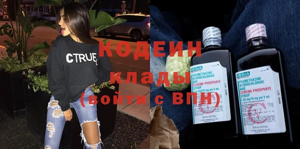 мдпв Осташков