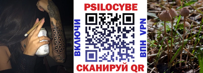 Галлюциногенные грибы Magic Shrooms  Новая Ляля 